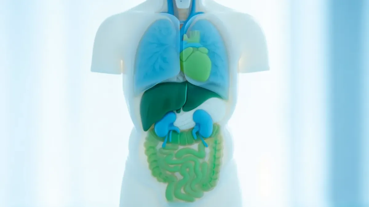 Illustration sur Mounjaro et ses dix effets santé prouvés par la science