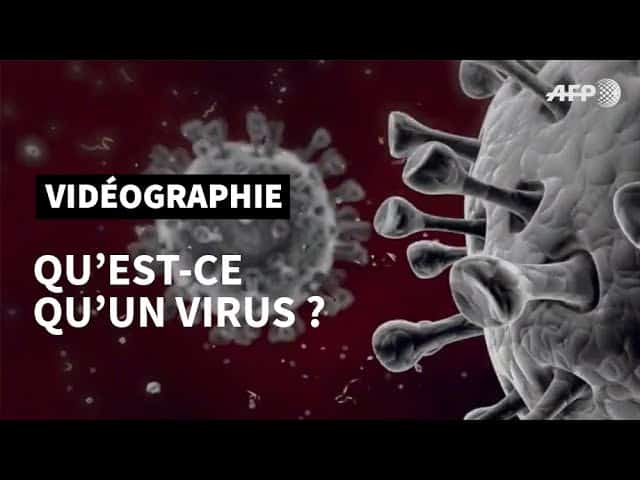 Infection virale def