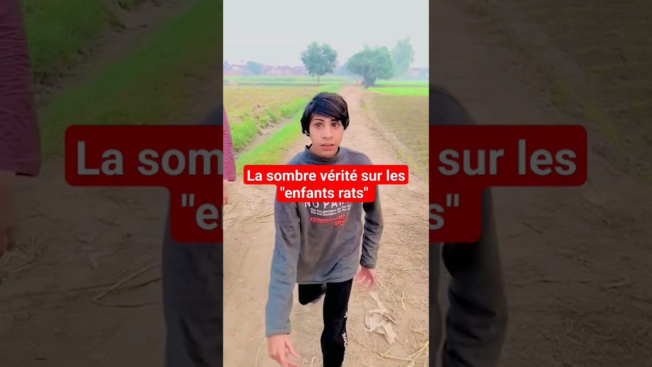 Jeune Maquereau 7 Lettres