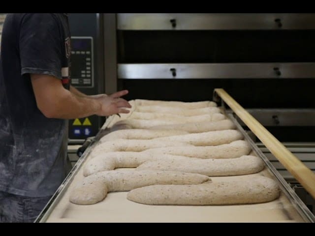 Les champs du destin