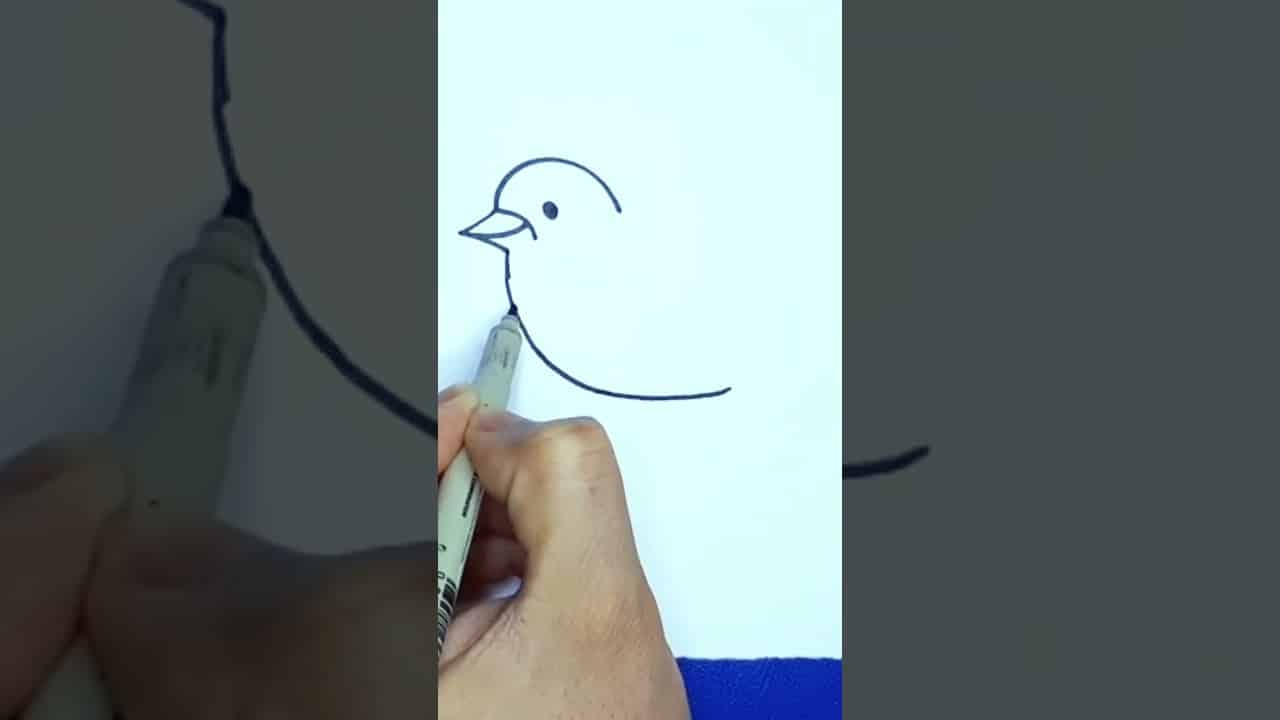 Oiseau Lyre 6 Lettres