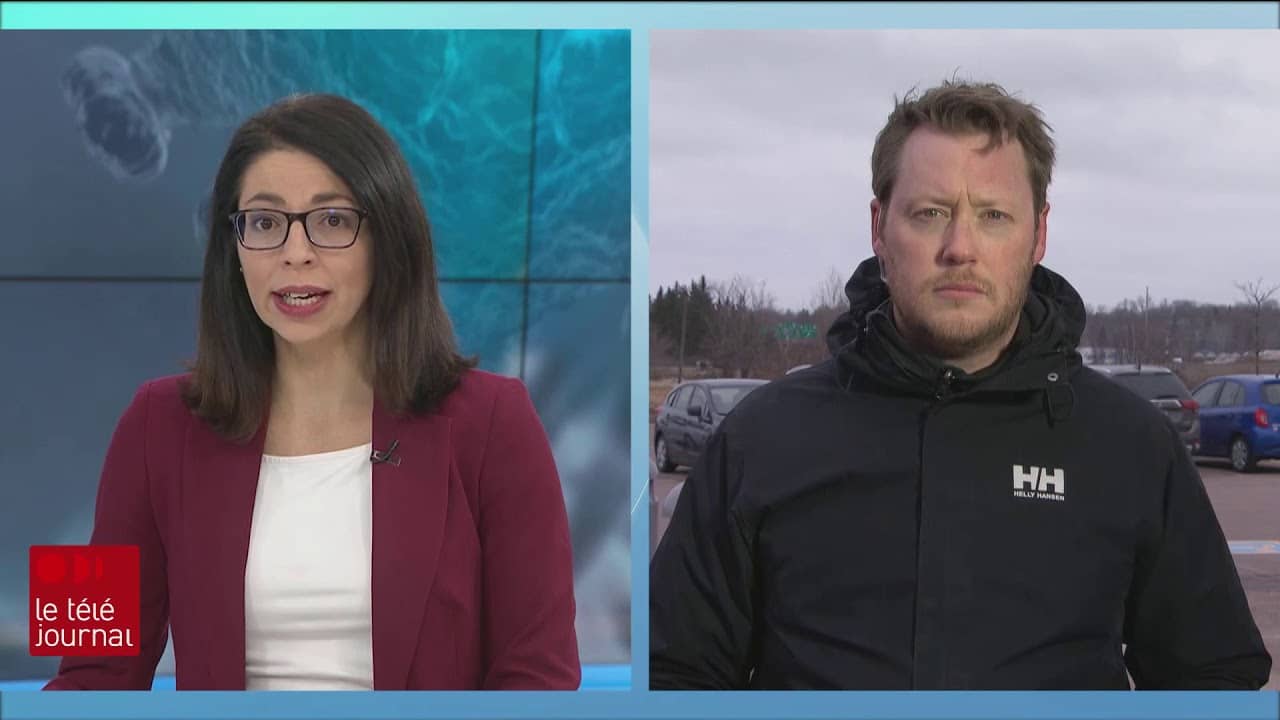 Personnes vulnerables covid 19