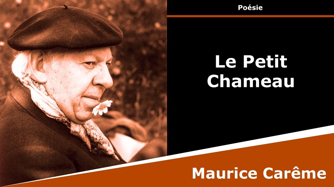 Petit chameau