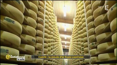 Poids Meule Comté