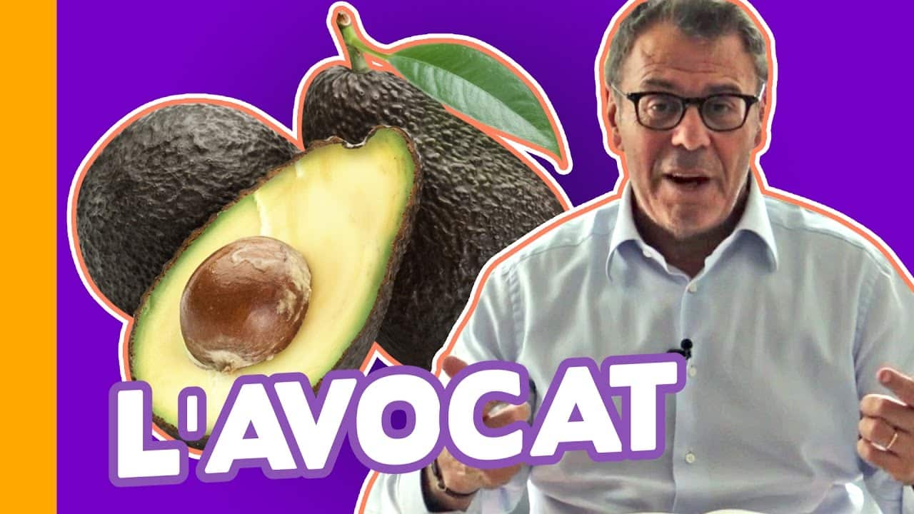 Avocat Valeur Nutritionnelle