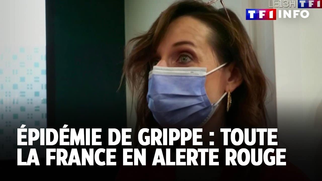 Epidemie De Grippe