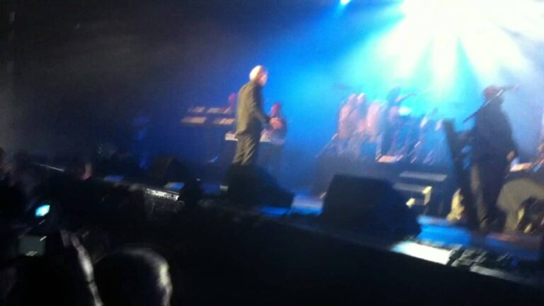 Pitbull Concert Juin