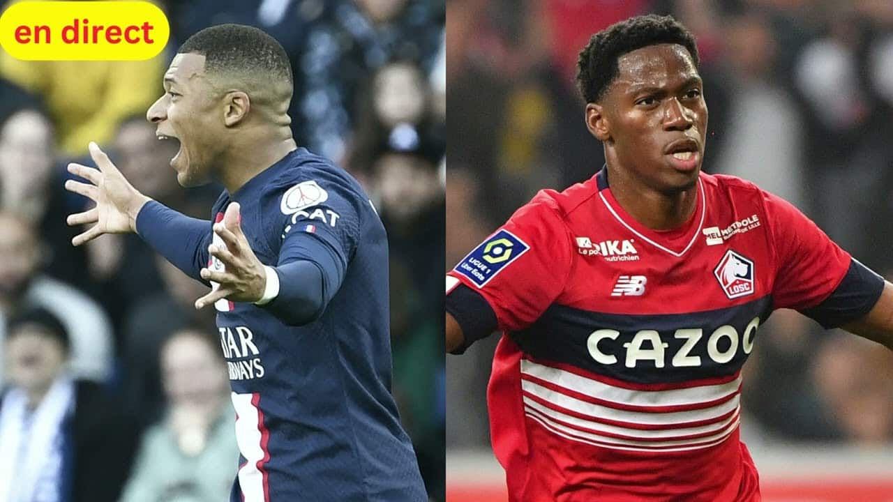 Psg Lille Diffusion