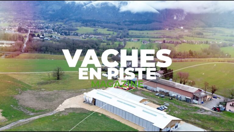Vache En Piste 2025