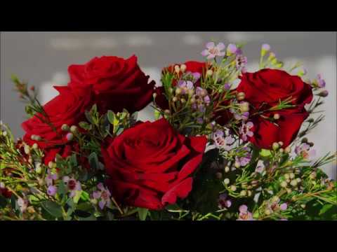 Citations Fleurs