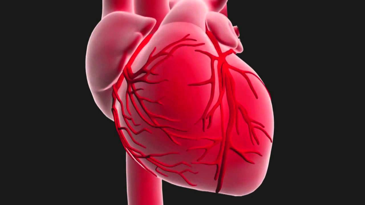 Infection du coeur