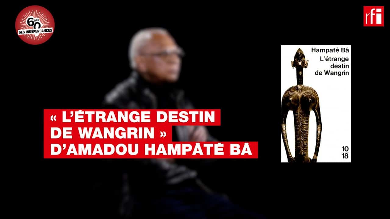 L'étrange Destin De Wangrin