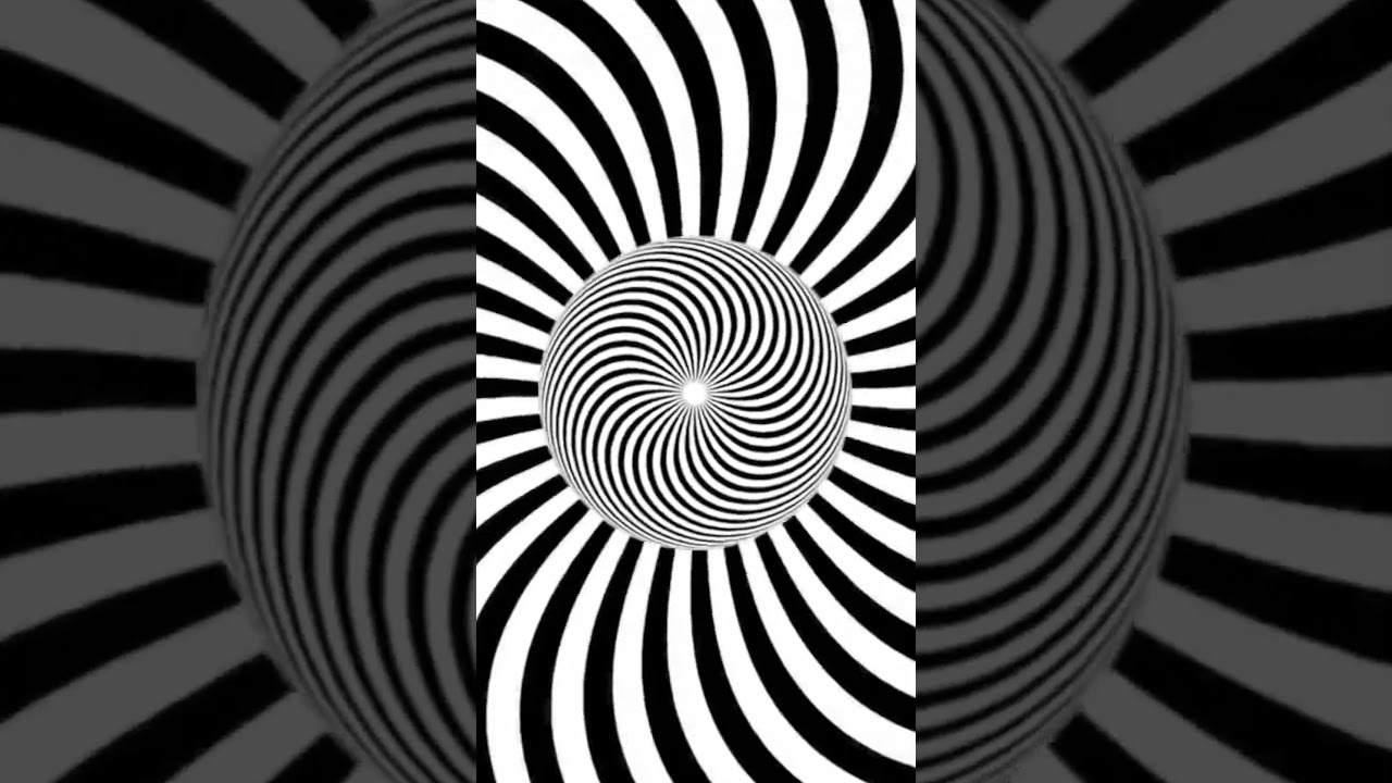 Patte d'ours 10 lettres