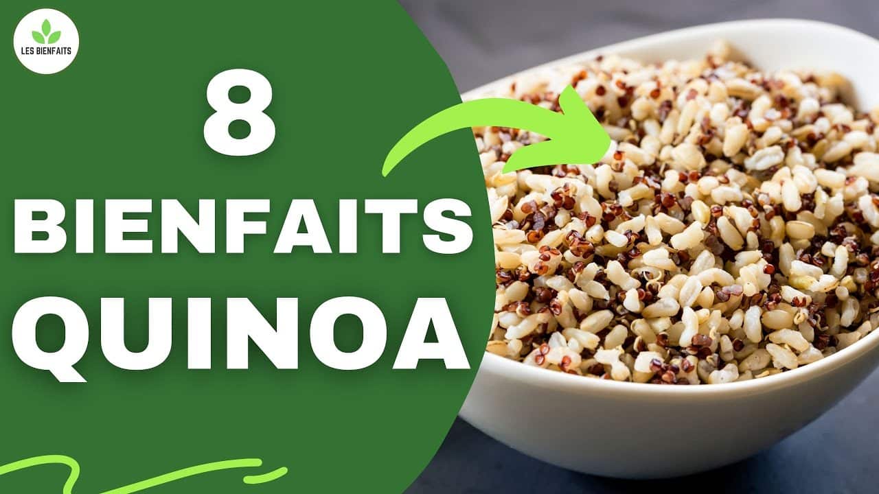 Quinoa valeur nutritionnelle