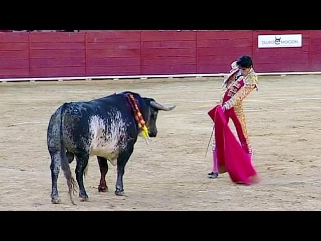 Torero mort 2025