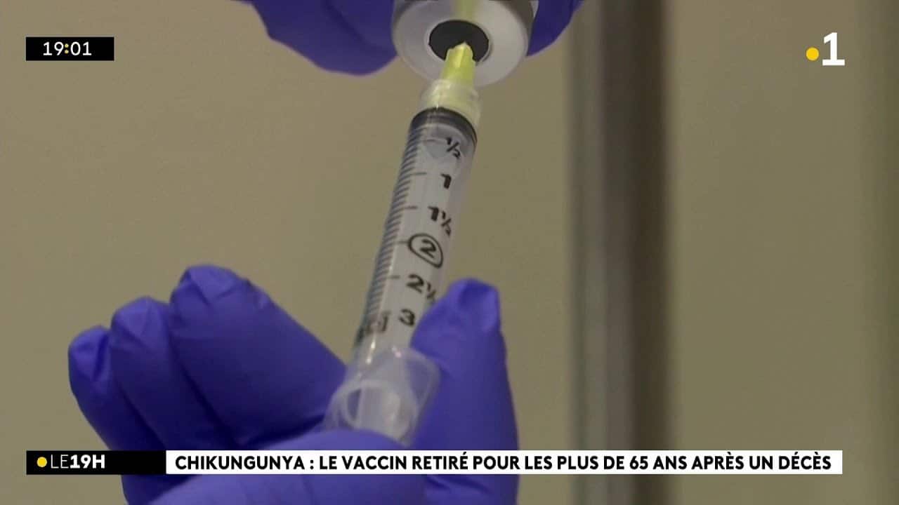 Vaccin chikungunya