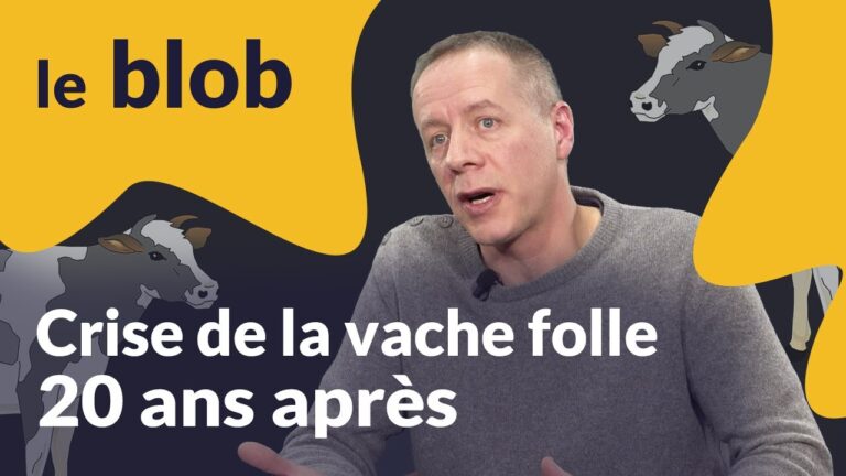 maladie de la vache folle