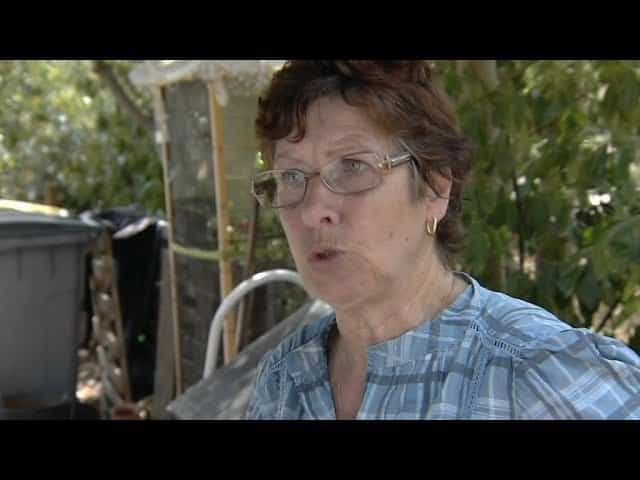 Chikungunya Symptômes