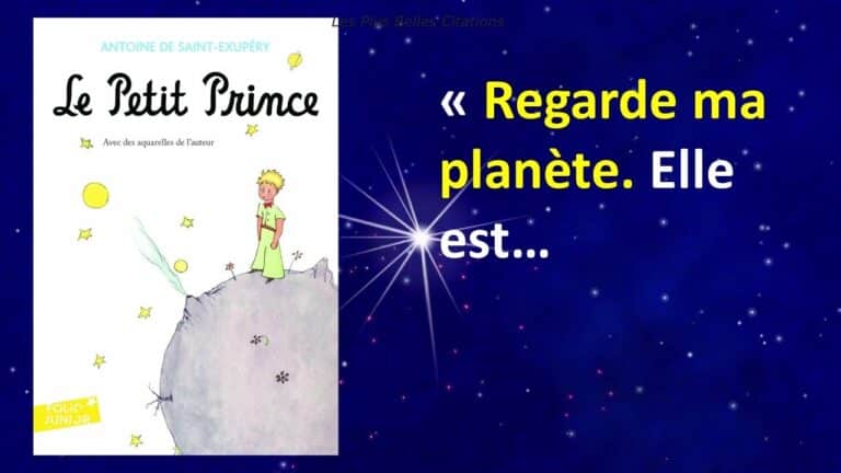 Citations Petit Prince