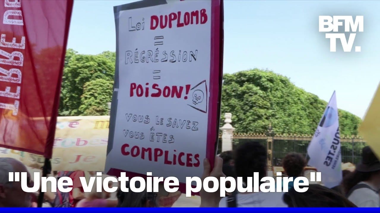 Loi Duplomb Eleonore Pattery