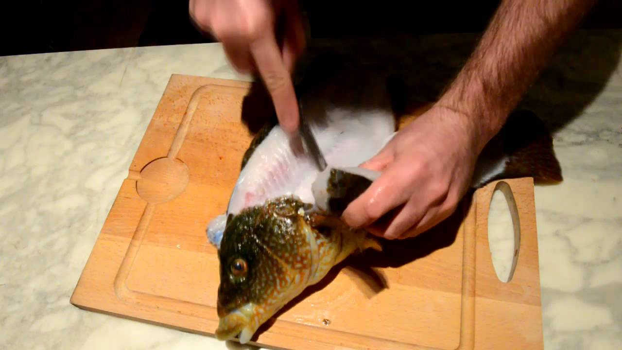 Poisson Vieille
