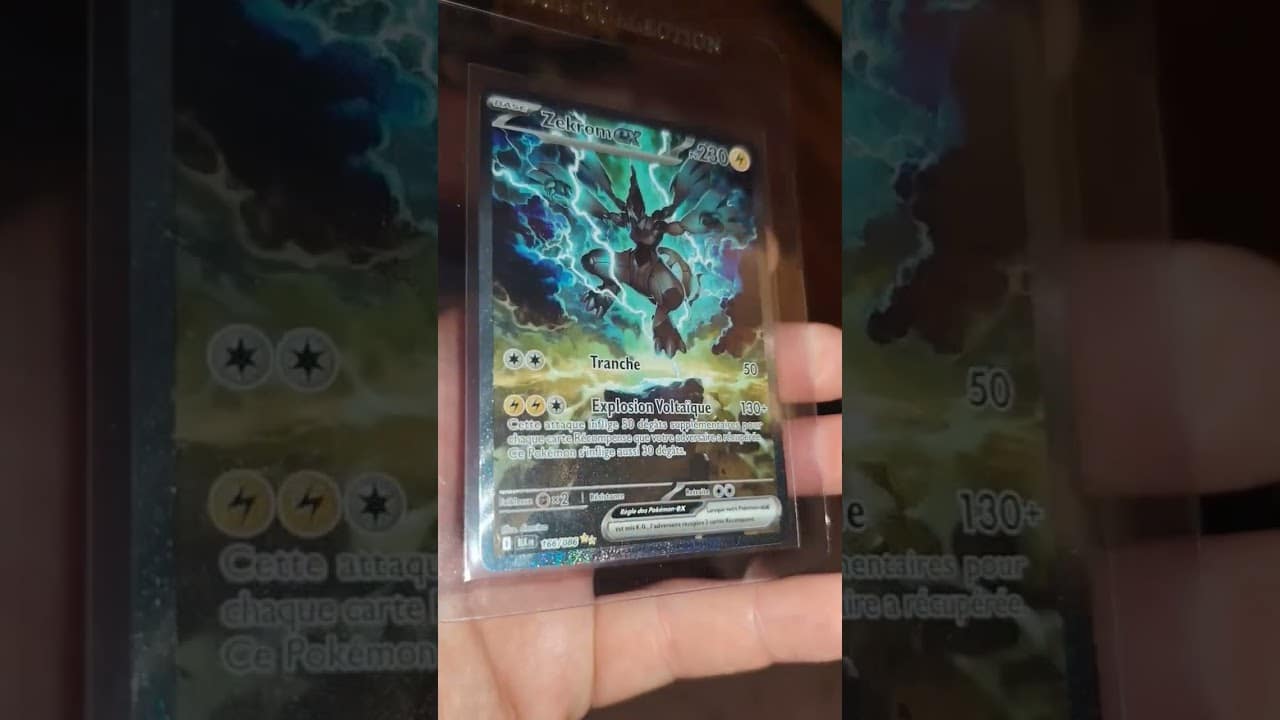 Zekrom Ex Foudre Noir