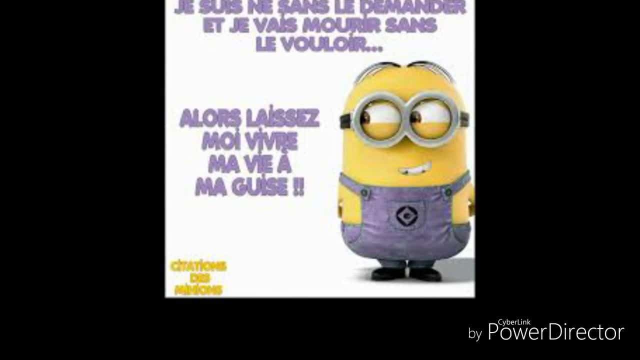 Citations Des Minions