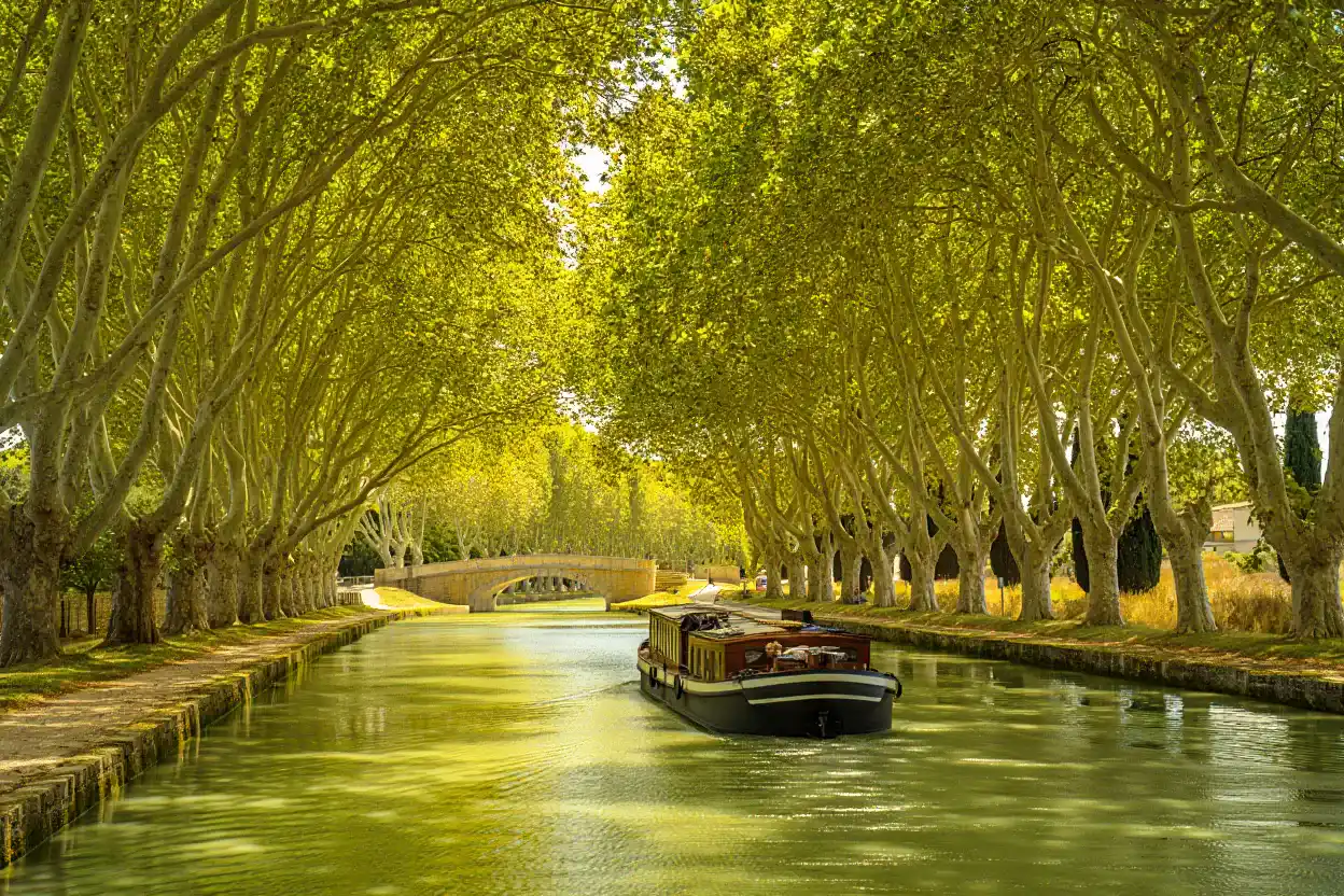 Péniche naviguant sur le canal du Midi sous une voûte de platanes, lumière dorée du soir sur l'eau calme et le chemin de halage