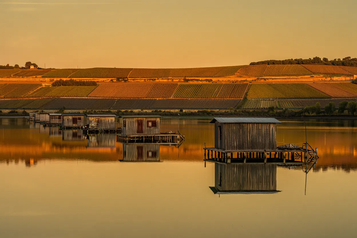 Cabanes ostréicoles en bois au bord de l'étang de Thau à Marseillan, tables conchylicoles sur l'eau calme, lumière dorée de fin d'après-midi, collines viticoles au loin