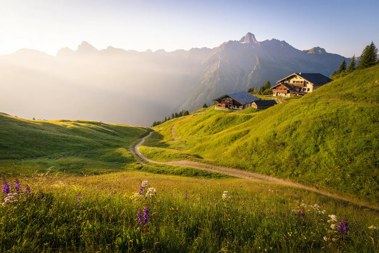 Alpage vert des Alpes françaises en été, prairies fleuries et chalets en bois sur un versant, sommets sans neige, sentier de randonnée serpentant dans la vallée, lumière dorée du soir, brume légère