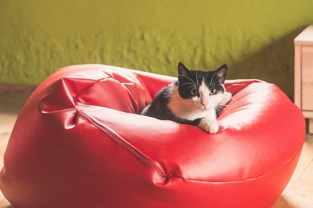 Comment choisir pouf geant design