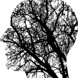 Eduquer-former-cerveau