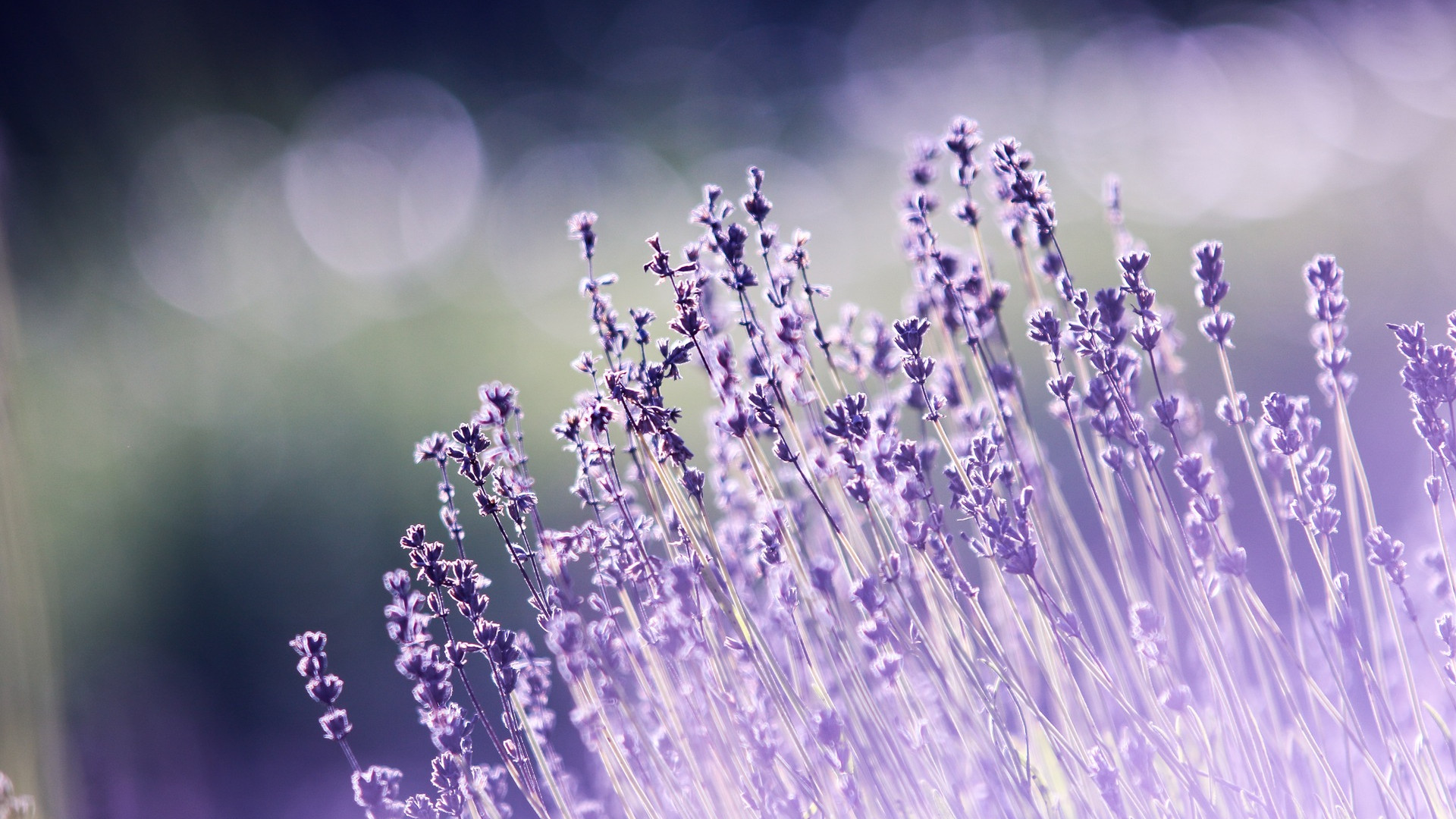 le mobilier jardin reprend forces printemps