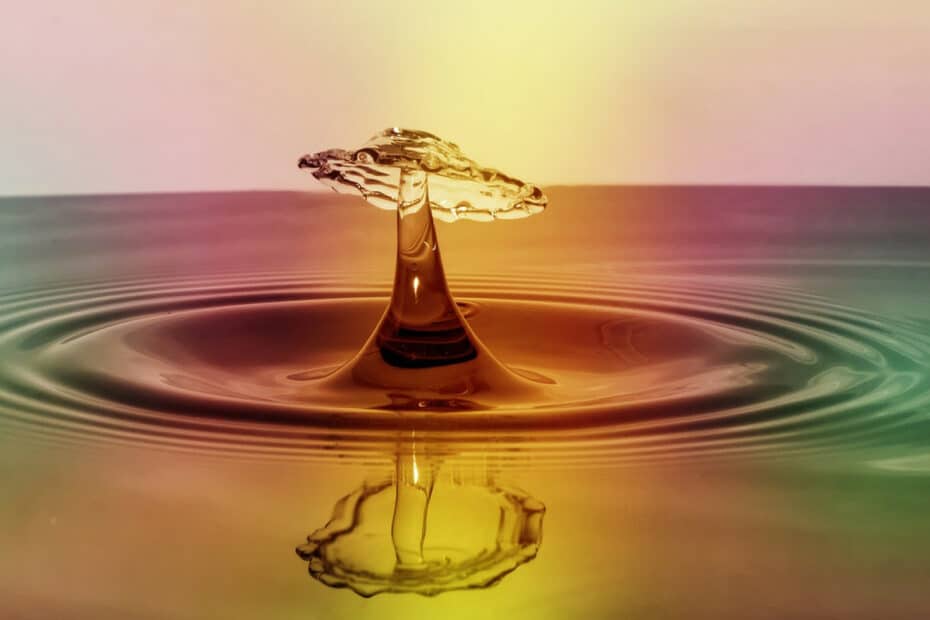 c9bd2b2836fcc23a514bb6187462277b