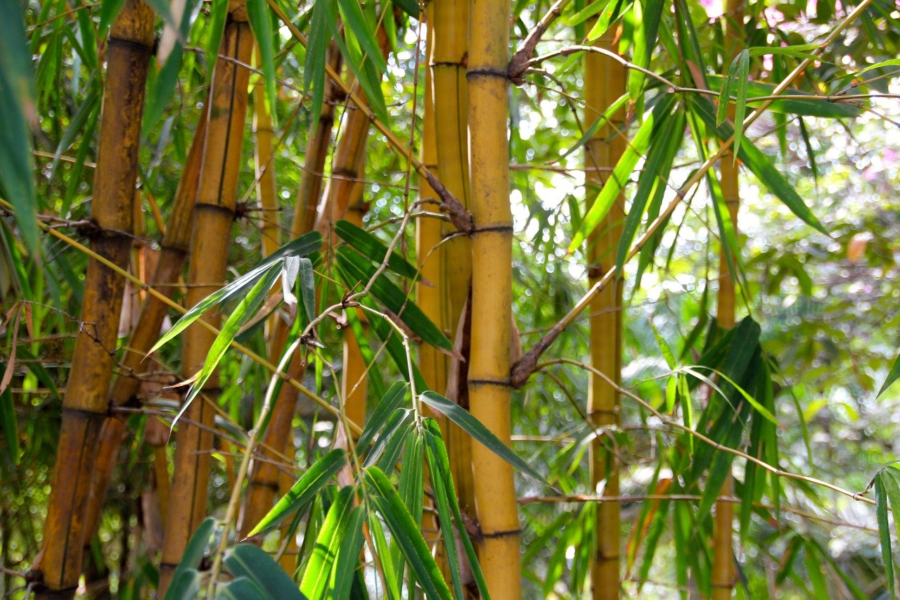 sacs bambou