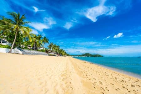 Pourquoi l'île Maurice suscité l'intérêt des investisseurs étrangers